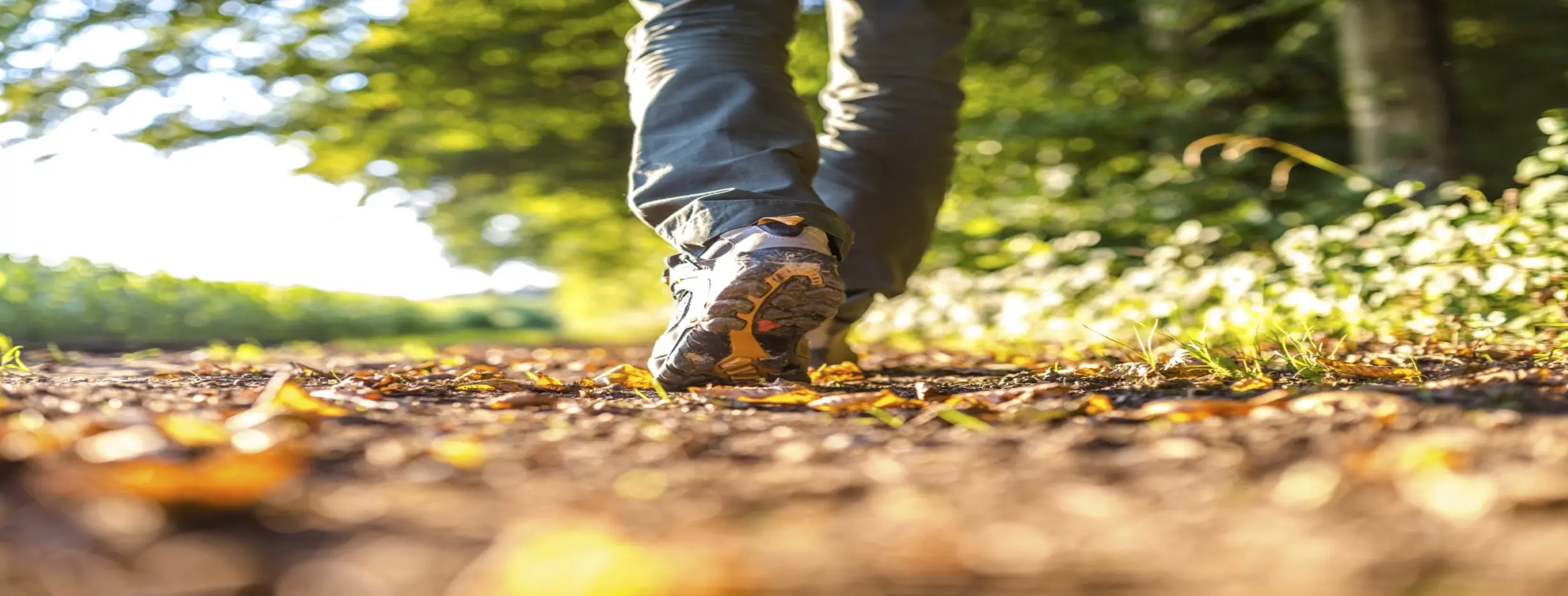 Image for Nature Walk